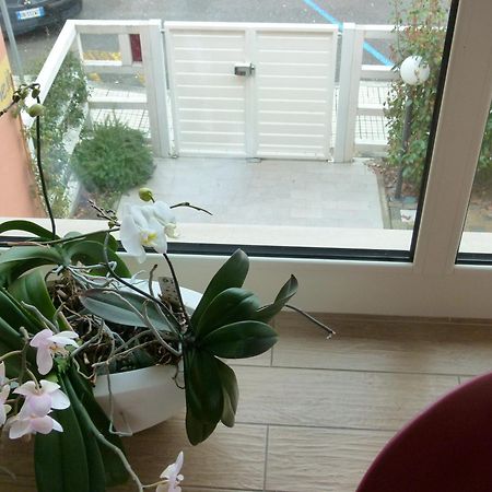 Vele Storiche Pisane Otel Dış mekan fotoğraf